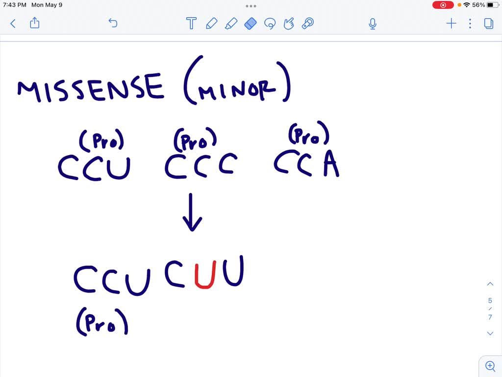SOLVED: Use the genetic code chart and the chemical structures of the ...