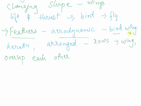 explain-the-anatomy-feather-and-aerodynamic-characteristics-of-a-typical-bird-wing-as-well-as-the-muscles-and-skeletal-structure-that-enables-powered-flight-dont-forget-to-discuss-wing-shape-7246
