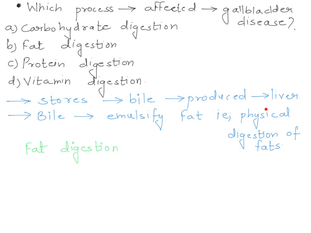 SOLVED Which process can be primarily affected by gallbladder disease