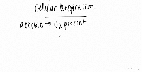 if-you-were-to-expose-cells-that-are-undergoing-aerobic-cellular-respiration-to-a-radioactive-oxygen-78343