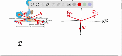 Split Force Calculation Example A gymnast is attempting to perform splits from the...