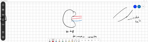 how-are-wastes-carried-to-the-kidney-for-removal-a-in-cells-b-in-the-urine-c-in-blood-d-in-interstitial-fluid-2