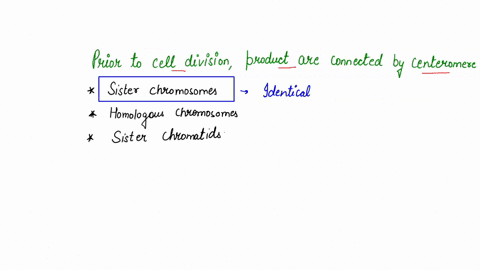 2-prior-to-cell-division-each-chromosome-replicates-or-duplicates-its-genetic-material-the-products-are-connected-by-a-centromere-and-are-called-1-point-sister-chromosomes-homologous-chromos-10377