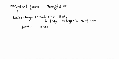in-what-ways-do-we-benefit-from-our-symbiotic-microbial-flora-discuss-the-effect-of-microbial-antagonism-on-interactions-between-resident-and-transient-flora-28498