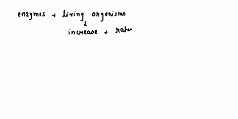question-7-1-point-enzymes-are-important-in-living-organisms-becal-use-they-catalyze-the-cova-ent-bonding-of-nad-ecules-to-substrates-bind-irreversibly-substrates-remove-them-from-the-cellul-33491