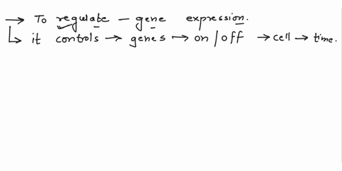 why-is-it-important-to-regulate-gene-expression-25822
