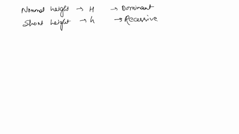 in-corn-plants-normal-height-h-is-dominant-over-short-height-h-complete-a-hybrid-heterozygous-cross-9-hybrid-corn-phenotype-probability-normal-height-hcorid-short-height-explcre-enetics-punn-29953