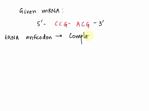 2908-question-use-the-following-information-to-answer-the-questionls-below-apart-ofan-mrna-molecule-with-the-following-sequence-is-being-read-by-a-ribosome-5-ccg-acg-mrnav-the-following-char-91152