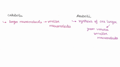 explain-why-anabolic-and-catabolic-reactions-are-usually-linked-in-biological-systems-use-the-terms-exergonic-endergonic-potential-energy-an-kinetic-energy-64674