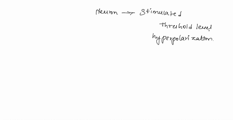 when-a-neuron-is-stimulated-at-threshold-level-and-hyperpolarization-is-reached-the-time-required-to-return-to-its-original-resting-electrochemical-state-is-known-as-the-select-one-a-resting-45858