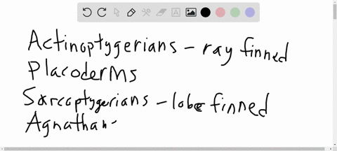 question-9-02-pts-based-on-the-vertebrate-phylogeny-which-classification-of-organisms-will-ultimately-give-rise-to-amphibians-actinopterygiians-placoderms-sarcopterygiians-agnathans-question-33626