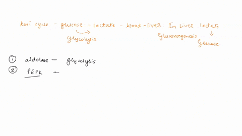 in-the-cori-cycle-when-glucose-is-degraded-by-glycolysis-to-lactate-in-muscle-the-lactate-is-excreted-into-the-blood-and-returns-t0-the-liver-in-the-liver-lactate-is-converted-back-into-gluc-27143