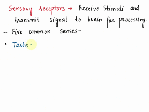identify-the-specific-sensory-receptors-for-each-of-the-five-common-senses-41595
