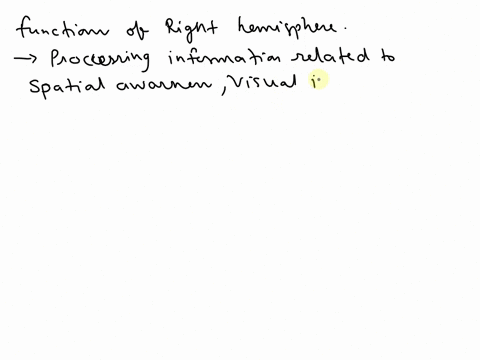 which-of-the-following-is-a-function-of-the-right-hemisphere-02674