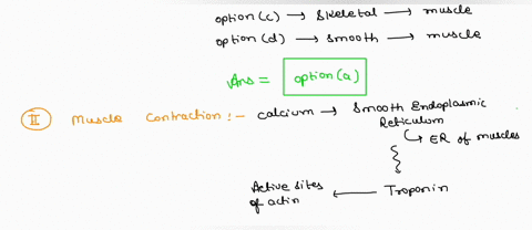 which-of-the-following-is-not-a-type-of-muscle-a-hyaline-b-cardiac-c-skeletal-d-smooth-2for-muscle-contraction-to-occur-______________-is-released-from-the-sarcoplasmic-reticulum-and-binds-w-56458