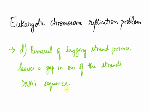 why-are-telomeres-problematic-for-eukaryotic-chromosome-replication-a-they-are-highly-repetitive-and-thus-hard-to-replicate-correctly-b-telomerase-is-more-error-prone-than-the-normal-dna-pol-97455