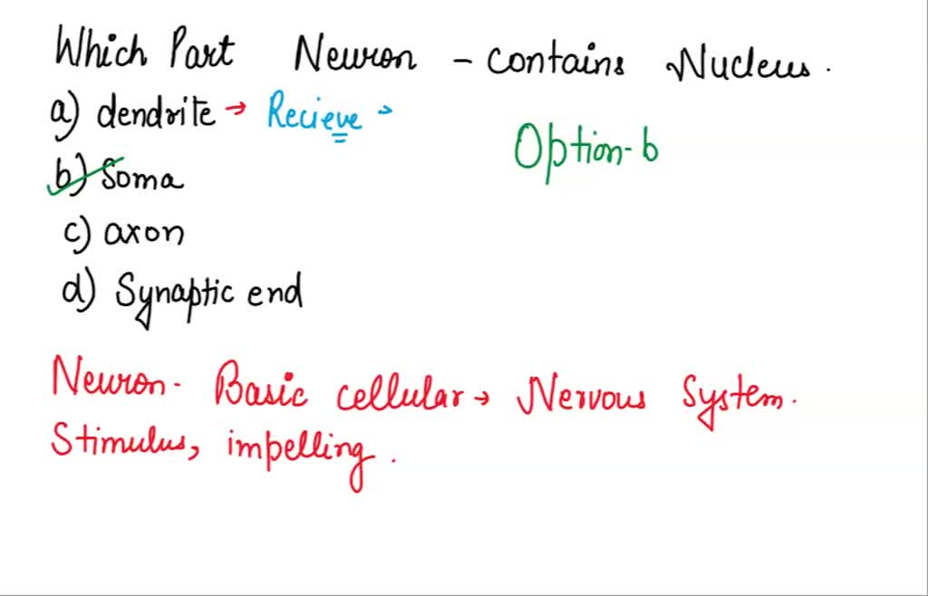 solved-which-one-is-not-part-of-the-nuclues