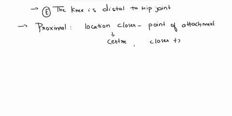 which-of-the-following-staterments-is-false-a-the-wrist-is-distal-to-the-elbow-o-b-the-sternum-is-located-medially-within-the-frontal-plane-o-the-head-is-superior-to-the-hips-d-the-elbow-is-29467