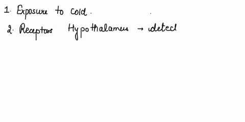 put-the-steps-involved-in-the-regulation-of-thyroid-hormone-production-in-the-correct-order-begin-with-exposed-to-cold-1-2-3-4-5-6-7-rise-in-t3-and-t4-in-blood-1-2-3-4-5-6-7-increased-metabo-92667