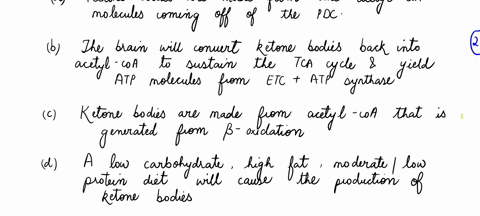 which-of-following-are-true-concerning-ketone-bodies-ketone-bodies-are-made-from-the-acetyl-coa-molecules-coming-off-of-the-pdc-the-brain-will-convert-ketone-bodies-back-into-acetyl-coa-t0-s-72293