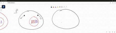 mitosis-and-meiosis-a-cell-has-2n-4_-draw-what-you-would-expect-to-see-if-you-were-looking-at-this-cell-in-the-stage-of-mitosis-indicated-prophase-prometaphase-metaphase-anaphase-telophase-a-48784