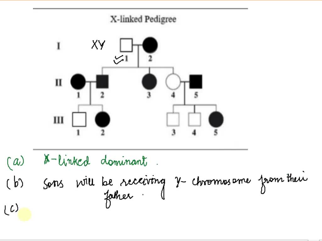 SOLVED: X-linked Pedigree Is the mode of inheritance for this pedigree ...