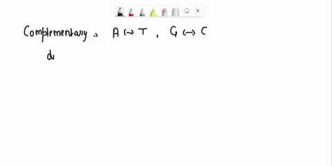 why-does-the-dna-double-helix-have-unifom-diameter-25714