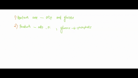 the-reaction-below-depicts-one-of-the-steps-in-glycolysis-this-is-coupled-reaction-meaning-the-1-hydrolysis-of-atp-into-adp-is-coupled-to-2-the-conversion-of-glucose-into-glucose-6-phosphate-12173