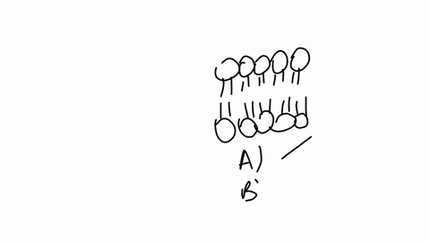 which-statement-is-incorrect-about-plasma-membrane-a-the-cell-membrane-is-composed-of-lipids-that-are-arranged-in-a-lipid-bilayer-b-the-lipid-component-of-the-membrane-mainly-consists-of-pho-20856