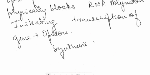 the-trp-operon-is-a-coordinately-regulated-group-of-genes-trpa-trpe-points-that-are-required-for-tryptophan-synthesis-in-e-coli-the-presence-of-excess-tryptophan-which-causes-the-repressor-t-82468