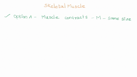 which-statement-about-the-structure-of-skeletal-muscle-is-true-a-the-light-bands-of-the-sarcomere-3-81887