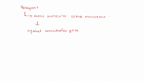 cells-need-to-bring-in-molecules-to-carry-out-cellular-processes-often-this-requires-moving-the-molecules-across-the-cell-membrane-against-the-concentration-gradient-how-do-these-molecules-g-66912