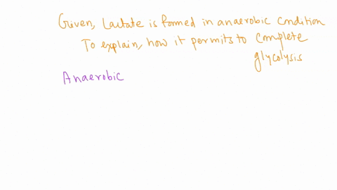 how-does-the-formation-of-lactate-permit-glycolysis-to-continue-under-anaerobic-conditions-12865