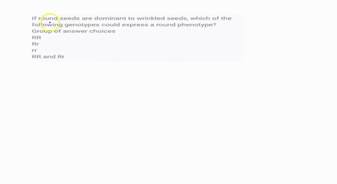 if-round-seeds-are-dominant-to-wrinkled-seeds-which-of-the-following-genotypes-could-express-a-round-phenotype-group-of-answer-choices-rr-rr-rr-rr-and-rr-65027