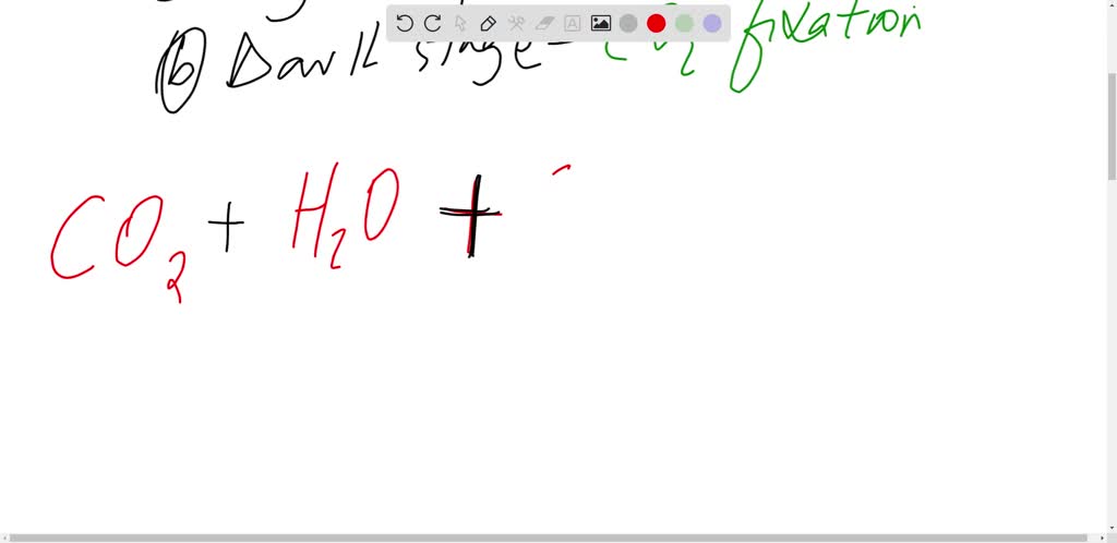 solved-what-does-the-x-represent-n-hydrogen-n-oxygen-n-glucose-n