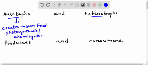 compare-autotrophs-and-heterotrophs-producers-and-consumers-61416