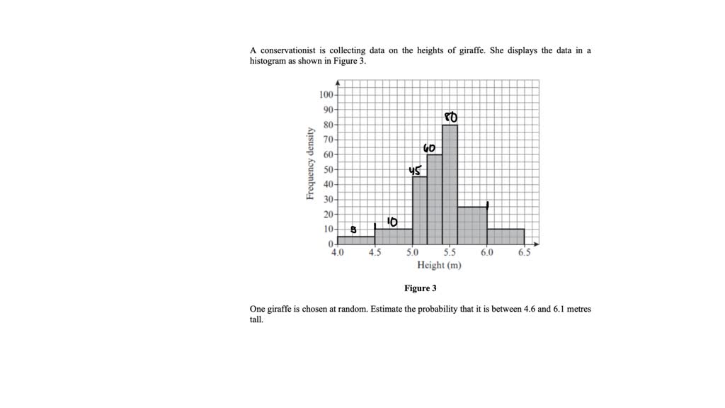 SOLVED A conservationist is collecting data on the heights of giraffes