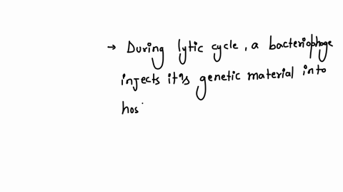 which-of-the-following-leads-to-the-destruction-of-the-host-cells-lysogenic-cycle-lytic-cycle-prophage-temperate-phage
