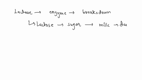 from-where-is-the-enzyme-lactase-secreted-44176