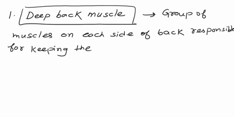 trunk-muscles-and-those-of-the-pelvic-floor-match-these-terms-with-the-correct-statement-or-definition-deep-back-muscles-diaphragm-linea-alba-erector-spinac-pelvic-diaphragm-external-abdomin-09569