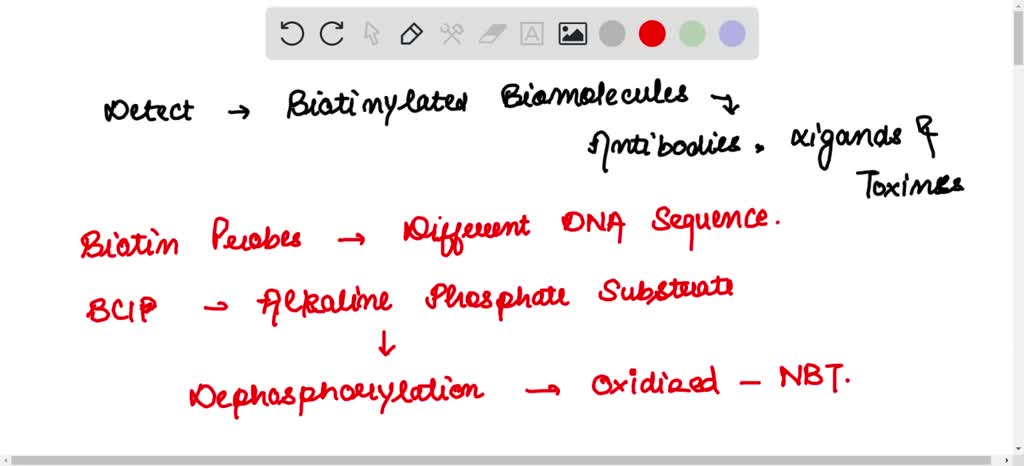 SOLVED: Describe the roles of streptavidin-AP, biotin, NBT, and BCIP in ...