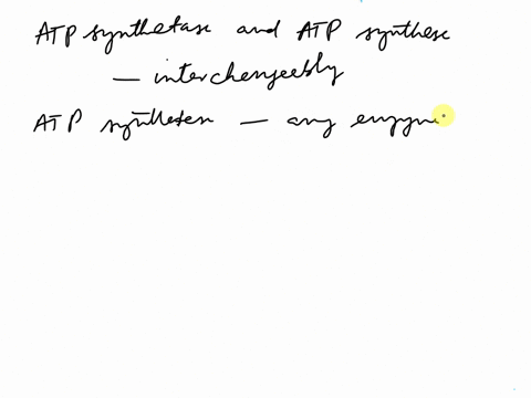 what-is-the-difference-between-atp-synthetase-and-atp-synthase-19345