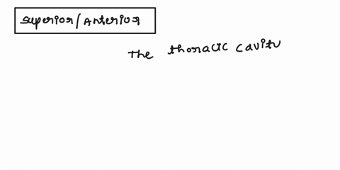 to-the-pelvic-cavity-and-the-thoracic-cavity-is-to-the-spinal-cavity-o-superiorventral-o-superioranterior-oinferiorposterior-oinferiordorsal-33926