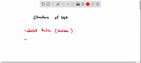 which-of-the-following-is-true-about-the-structure-of-dna-question-9-options-a-the-sides-of-the-ladder-structure-are-made-up-of-sugar-and-phosphate-b-the-bases-form-therungs-of-the-ladder-st-00902