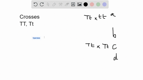 which-of-the-following-crosses-would-always-result-in-offspring-that-only-display-the-dominant-phenotype-ttxtt-both-tt-x-tt-and-ttxtt-ttx-tt-both-tt-x-tt-and-tt-x-tt-20115