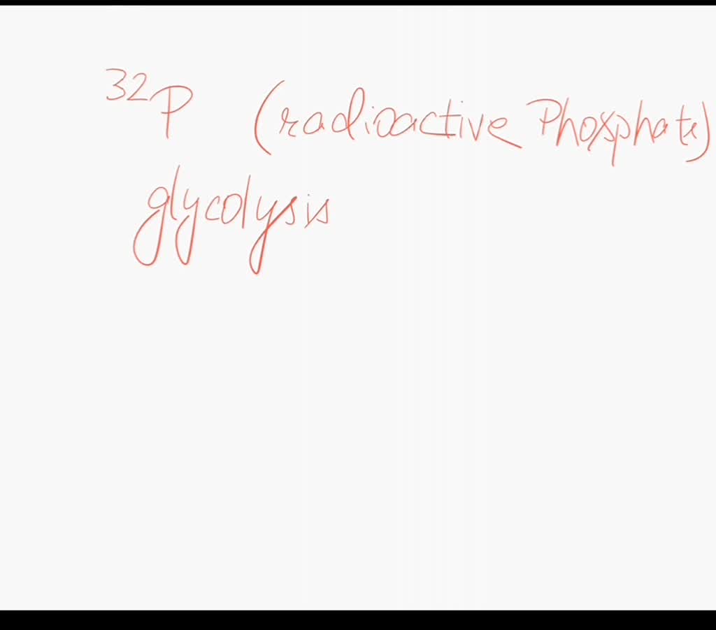 SOLVED If 32plabeled (radioactive phosphate) phosphate were