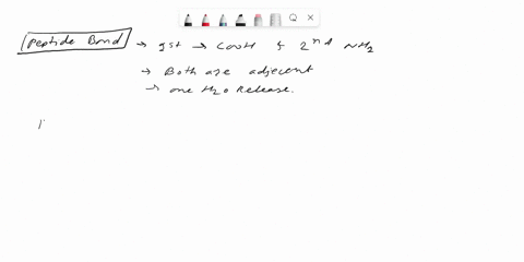 which-functional-groups-of-amino-acids-from-a-peptide-bond-22817