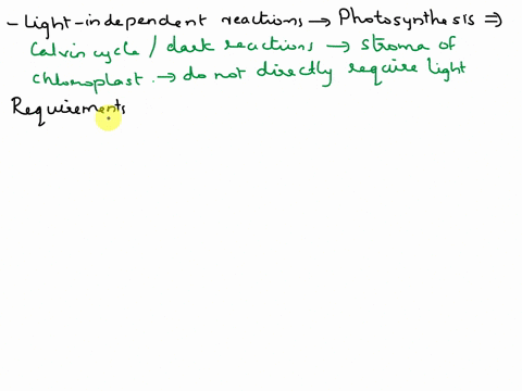 what-are-the-requirements-of-light-independent-reactions-where-do-light-independent-reactions-occur-01307