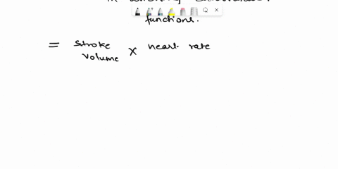 what-is-cardiac-output-and-how-is-it-calculated-75144