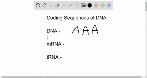 a-particular-triplet-of-bases-in-the-coding-sequence-of-dna-is-aaa-the-anticodon-on-the-trna-that-binds-the-mrna-codon-is-a-particular-triplet-of-bases-in-the-coding-sequence-of-dna-is-aaa-t-63545